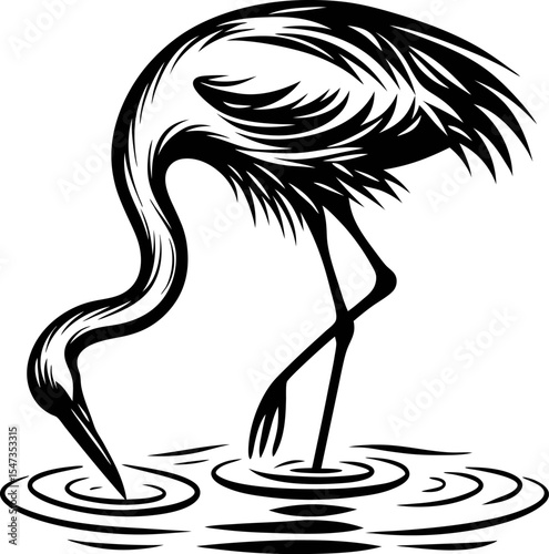Elegant hand drawn heron bird with long neck standing in water and dipping beak in ripples, black and white illustration