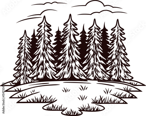 Hand drawn evergreen pine tree forest with meadow and clouds, vintage engraved illustration