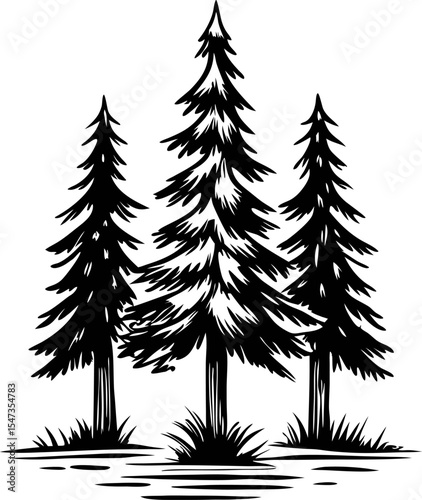 Hand drawn evergreen pine trees illustration in vintage engraving isolated on white background