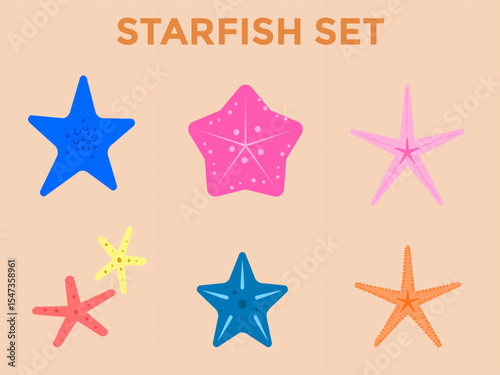 Vibrant and Colorful Starfish Collection: A Fun Underwater Exploration of Coastal Marine Life