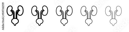 Urinary system icon flat illustration set logo