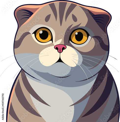 vector illustration of a cat Scottish Fold