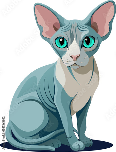 Sphynx cat 