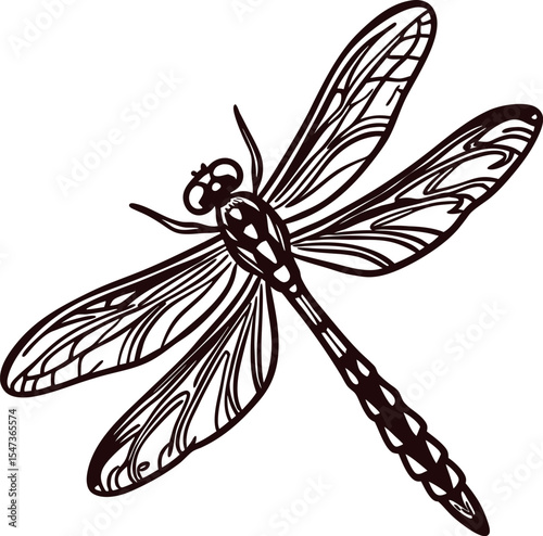 Intricate hand drawn dragonfly with detailed wings and segmented body isolated on white background illustration