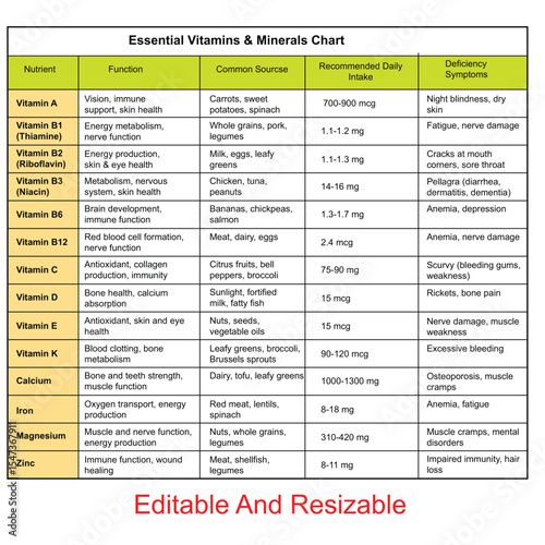Complete Daily Guide to Essential Vitamins & Minerals: Functions
