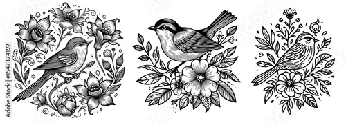 Charming Birds with Floral Elements Set - Nature Art Isolated on Transparent Background