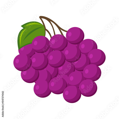 Fresh Grapes Vector Flat Illustration