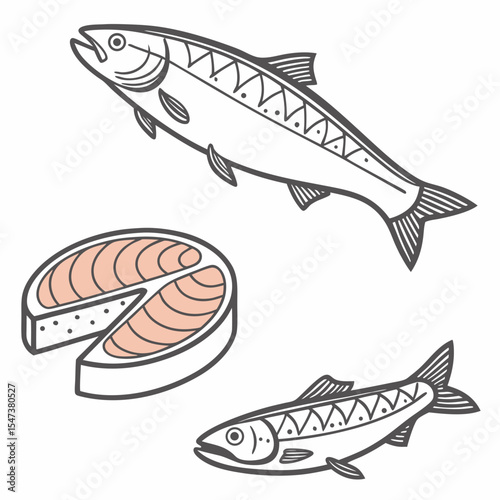 Salmon fish illustration whole fillet and slice