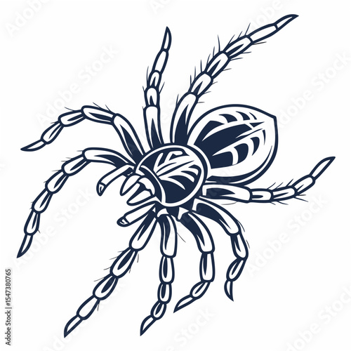 Professional tarantula illustration isolated on white background clean cutout ready for design projects