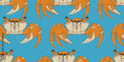 Hand drawn Crab. Seafood shop, restaurant menu, fish market, banner, poster, print template. Fresh seafood, shellfish product. Trendy Vector illustration. Flat design. Seamless Pattern.
