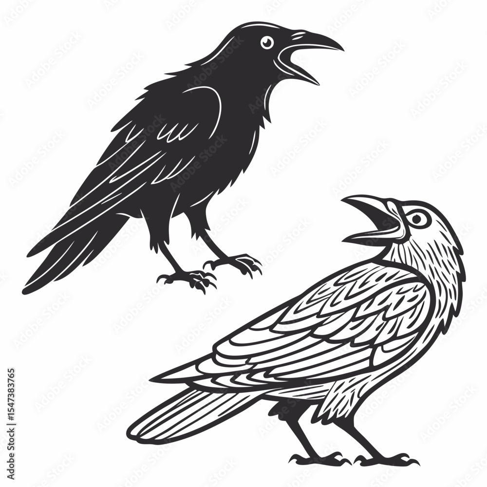 Fototapeta premium Two ravens illustration black and white silhouette and detailed drawing