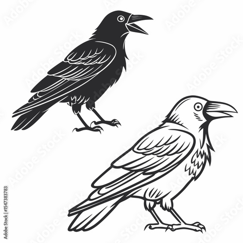 Two stylized crows black and white illustration raven bird