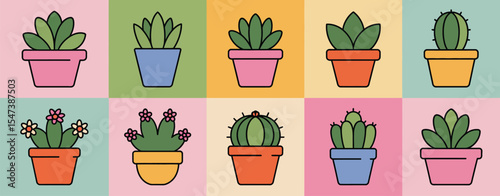Cute Cactus and Succulent Plants in Colorful Pots