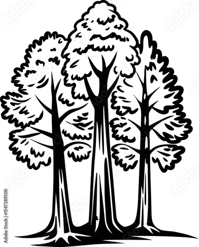 Hand drawn trio of tall leafy trees in black and white sketch illustration