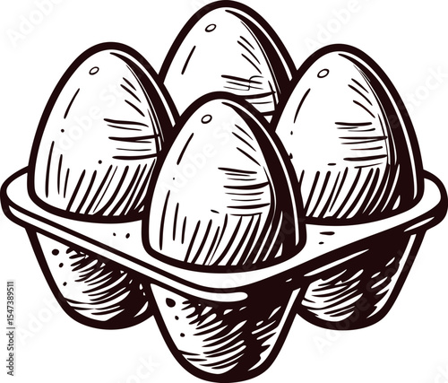 Hand drawn sketch of four eggs in carton tray isolated on white background vintage engraving