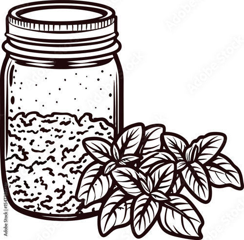 Jar of dried basil leaves with fresh basil sprigs hand drawn botanical cooking ingredient illustration