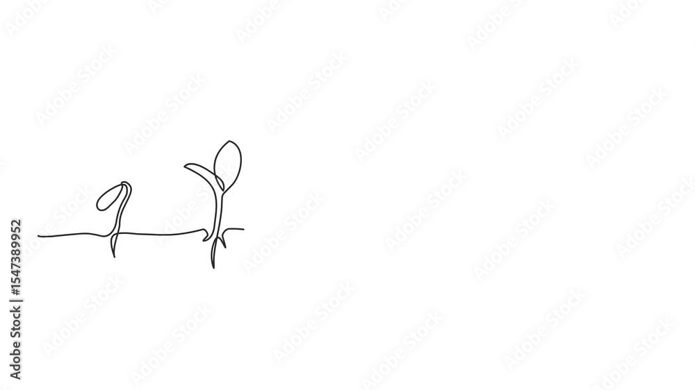 Animated self drawing of continuous line draw of step of grow plant.Seeds sprout in ground. Seedling gardening plants, sprouts.  Full length one line animation. 4K