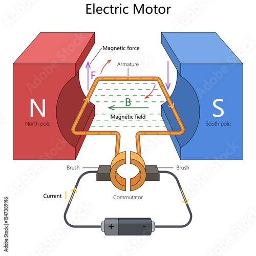 magnetic interaction in an electric motor, including armature, magnetic field, and commutator hand drawn schematic raster illustration. Science educational illustration