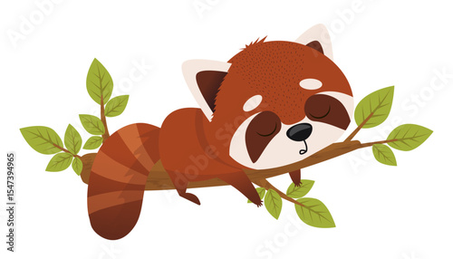 Cute vector illustration of red panda sleeping on branch. Hand drawn