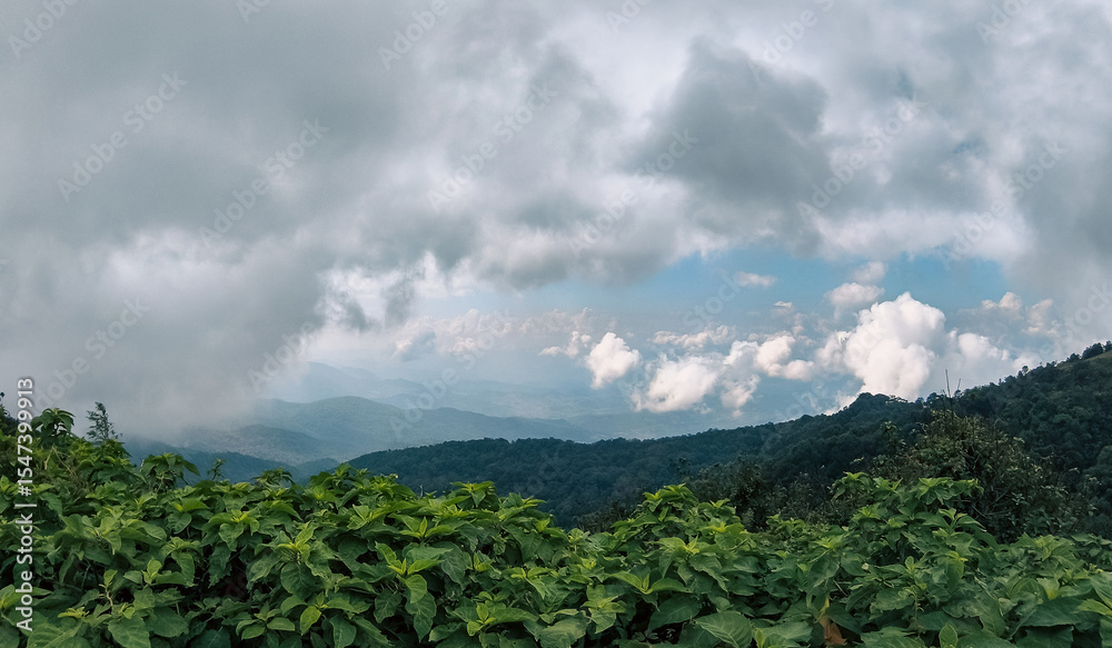 Obraz premium twin pagoda, Chiang Mai