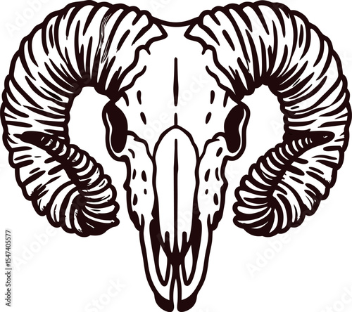 Detailed hand drawn illustration of ram skull with large curved horns isolated on white background