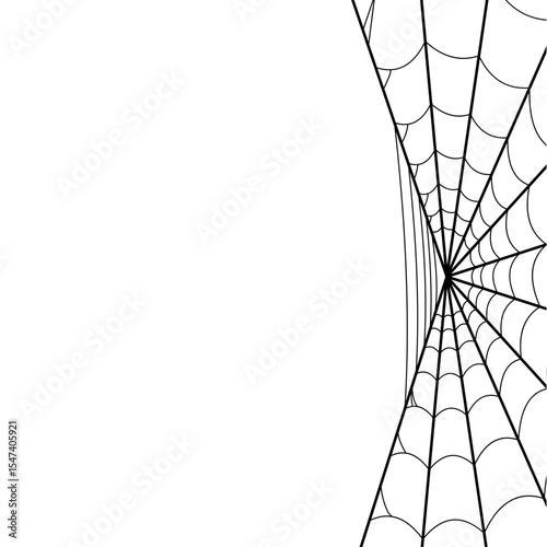 Spider Cob Web Border
