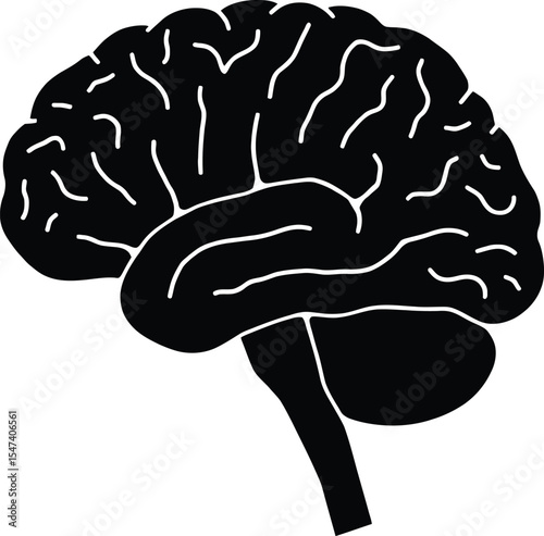 Human Brain Anatomy Detailed Vector Illustration of the Cerebrum, Cerebellum, and Brainstem
