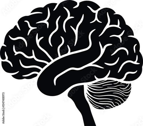 Human Brain Anatomy Detailed Vector Illustration of the Cerebrum, Cerebellum, and Brainstem