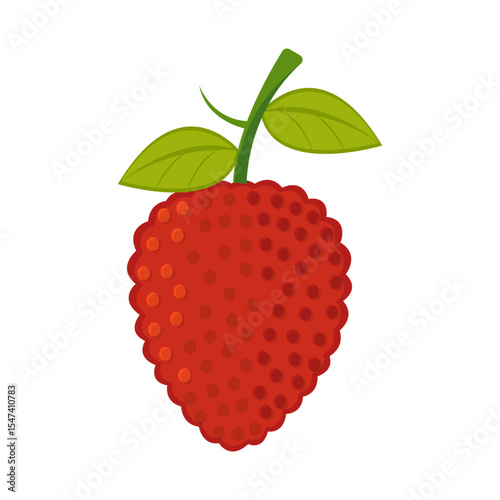 Raspberry Flat Illustration Cartoon