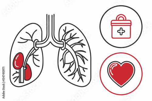 Human lungs heart and medical aid isolated on white background