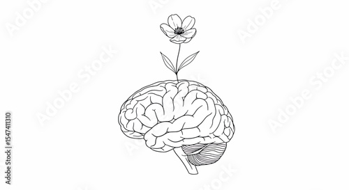 Mind Bloom Line Art Illustration of a Flower Growing from the Brain