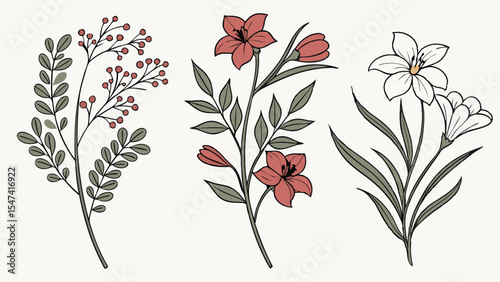 Elegant hand-drawn botanical illustration set featuring red berries, green leaves, and beautiful red and white lily flowers. Vintage floral art.