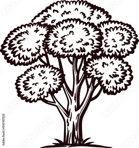 Hand drawn leafy tree illustration with bushy branches and detailed trunk isolated on white background