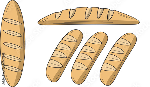 The Illustration of French baguette