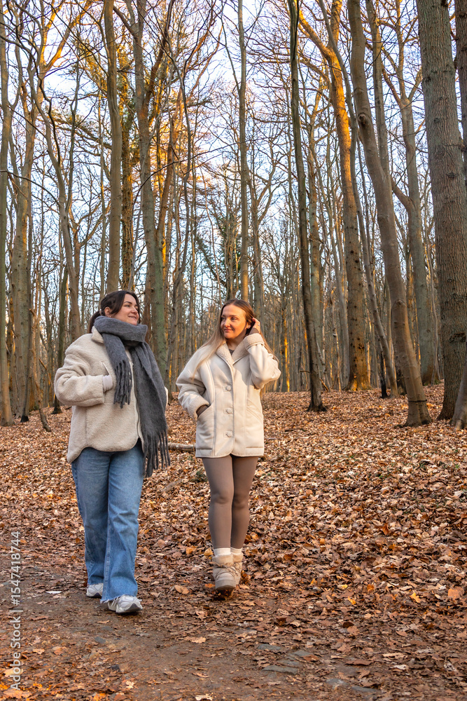 Two female friends on a walk in the forest. Friends walking through the forest. People in nature. Two female friends on a walk in the forest. Friends walking through the forest. People in nature.