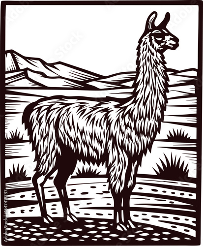 Hand drawn llama standing in mountain landscape vintage engraving farm animal illustration