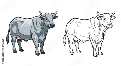 Belgian Blue Cow Coloring Page Featuring Realistic Colored and Clear Outline Bovine Design