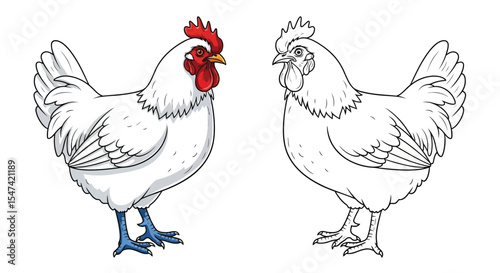 Bresse Chicken Coloring Page Featuring Realistic Full Color and Clear Outline Poultry Art