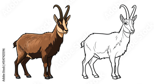 Chamois Goat Antelope Coloring Page Featuring Realistic Colored and Clear Outline Animal