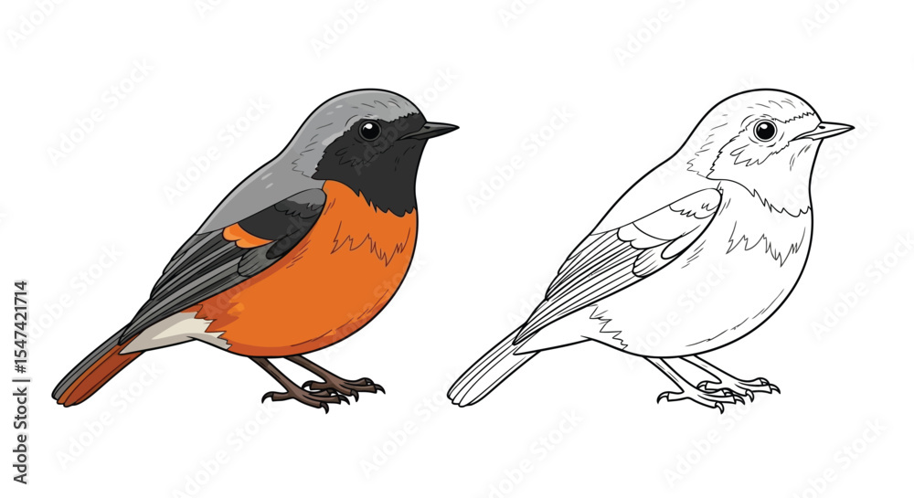 Obraz premium Common Redstart Coloring Page Featuring Realistic Color and Clear Outline Bird Design
