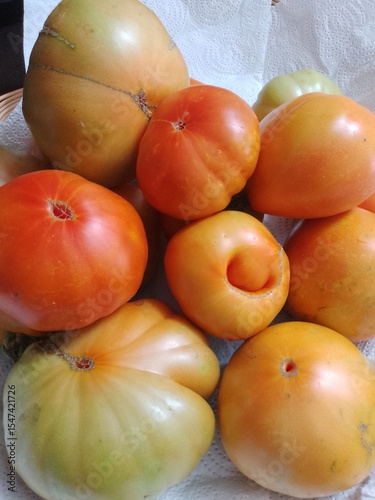 Fresh Organic Garden Grown Tomatoes