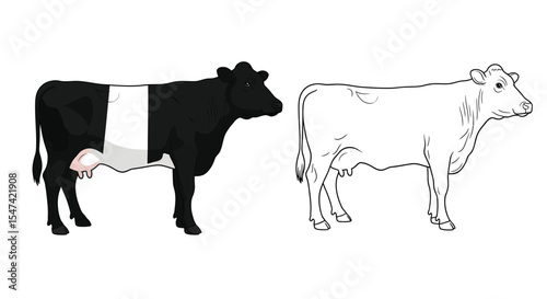 Dutch Belted Cow Coloring Page Featuring Realistic Color and Clear Outline Bovine Design