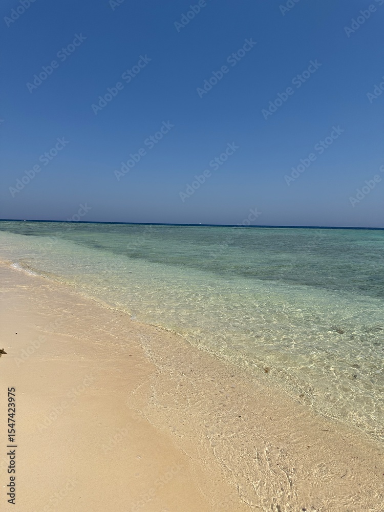 Fototapeta premium tropical beach in thailand