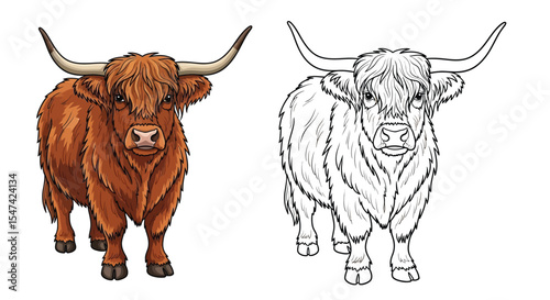 Highland Cow Coloring Page with One Colored and One Outline Cow Farm Animal Fun