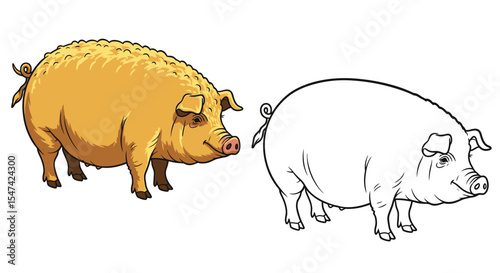 Hungarian Mangalica Pig Coloring Page Featuring Realistic Colored and Clear Outline Swine