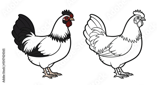 Lakenvelder Chicken Coloring Page with Realistic and Outline Birds Farm Poultry Art
