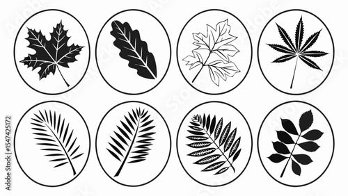 Eight black and white vector leaf icons set. Diverse botanical foliage silhouettes for nature designs, including maple, oak, palm, and various compound leaf shapes.
