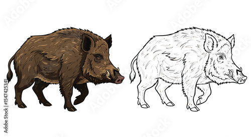 Wild Boar Coloring Page Featuring Realistic Full Color and Clear Outline Wildlife Study