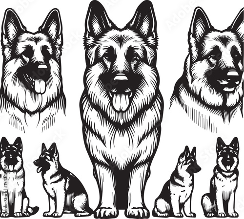 German Shepherd Dog Silhouette Vector | Black and White Illustration