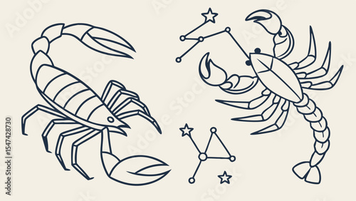 Scorpio and Cancer zodiac signs line art with constellations. Minimalist black outline drawing of scorpion and crab for astrology and horoscope.